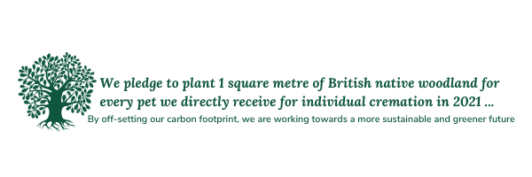 We pledge to plant 1 square metre of British native woodland for every pet we directly receive for individual cremation in 2021